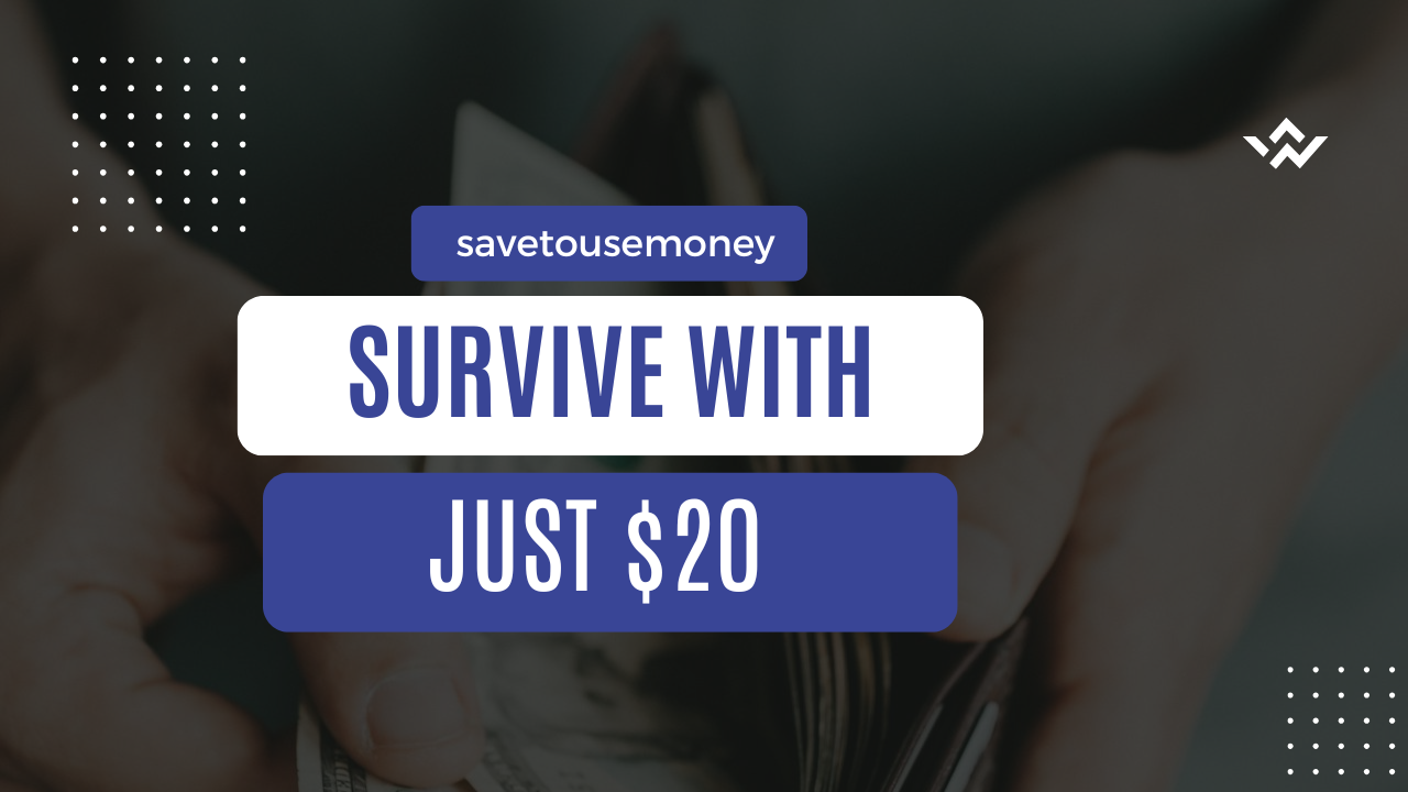 how to survive with 20 dollars